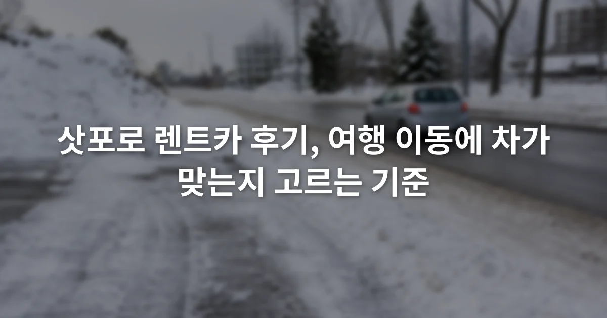 눈이 쌓인 삿포로 도로 옆 주차 구역과 운행 중인 승용차